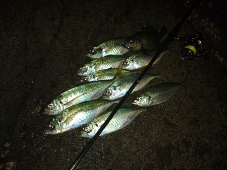 (尺アジ)フロートゲーム～