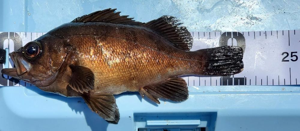 キス狙いのはずが…