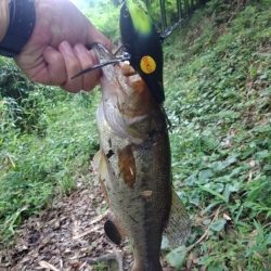 雨の朝は・・・