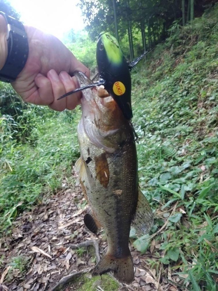 雨の朝は・・・