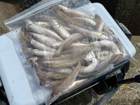 激渋からポイント移動で好調に！