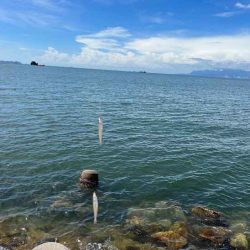 姫路から赤穂までキスの群れ探し