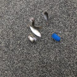 美味しいアジ南蛮が待っている♪