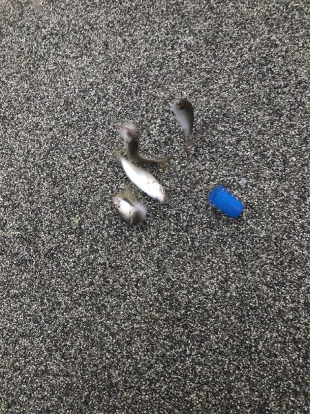 美味しいアジ南蛮が待っている♪