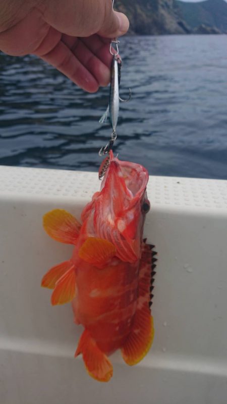 壱岐ではなく対馬ですが……