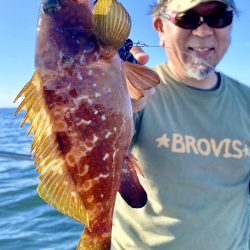 神戸港ディアコウ&キビレ