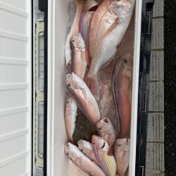 橘沖でシロアマダイ