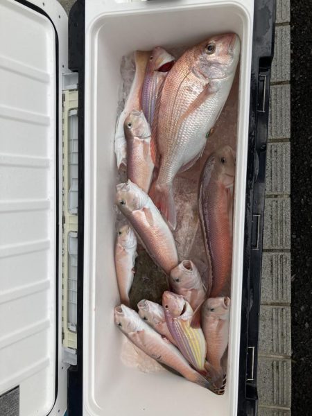 橘沖でシロアマダイ