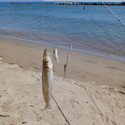 最後に帳尻合わせ