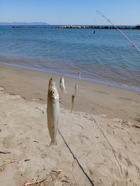 最後に帳尻合わせ