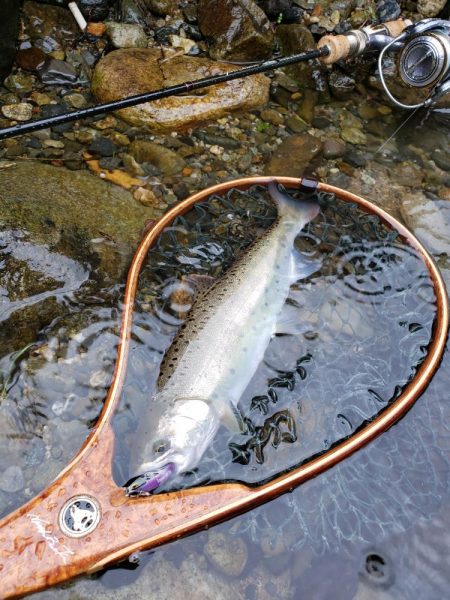 1センチ足りませんでした