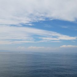 ちょい投げキス釣り