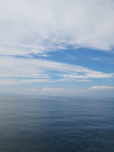 ちょい投げキス釣り