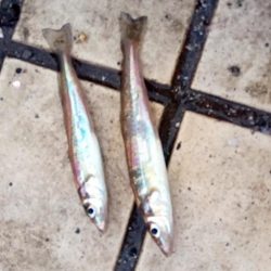 もうすぐなつやすみ♪