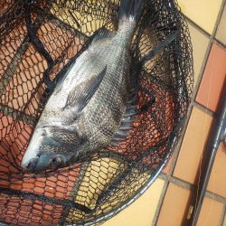 1時間　～辰巳橋～