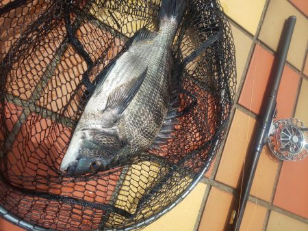 1時間　～辰巳橋～