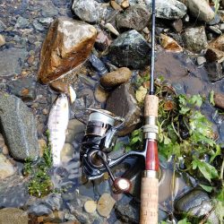 増水期待したけど、、、