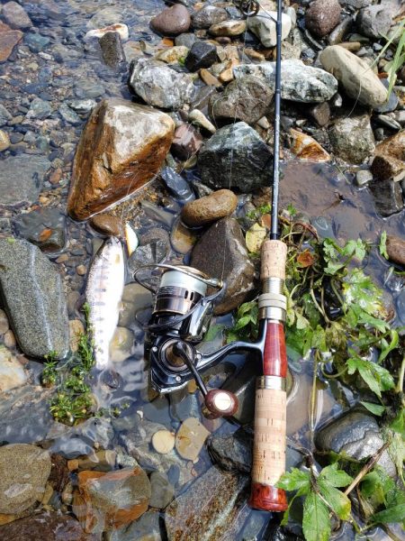 増水期待したけど、、、