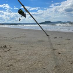 暑さに負けずキスも高活性でした