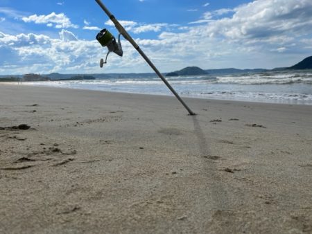 暑さに負けずキスも高活性でした