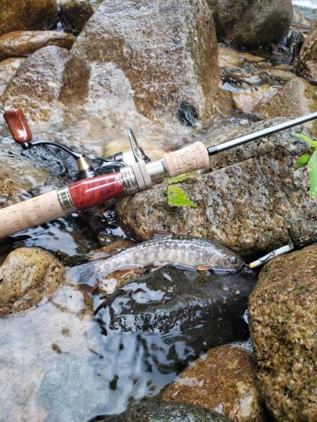 今日もチビッ子