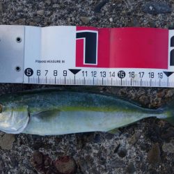 上げ８～９分で一気に