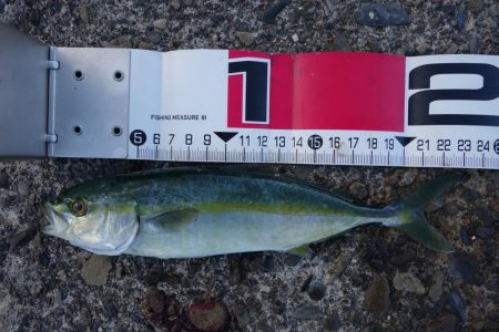 上げ８～９分で一気に