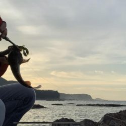 3年ぶりに釣りに行きました