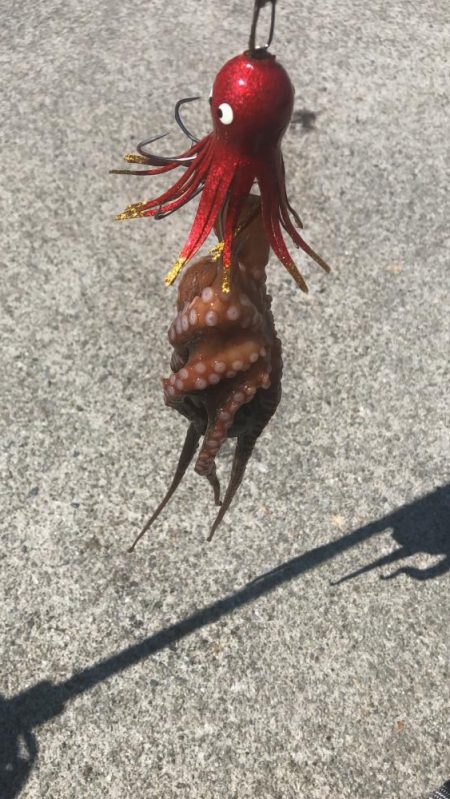 タコ釣りライバル満載でのシーサイド