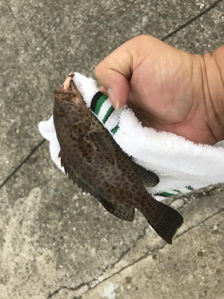 ガッシーと小オオモン