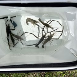 久しぶりに嫁と釣行してきました