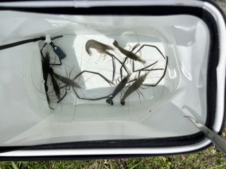 久しぶりに嫁と釣行してきました