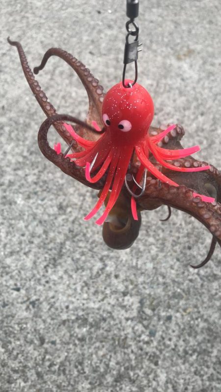 シーサイドでタコ釣り