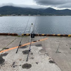 小サバが釣れ始めました