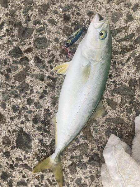 本日も絶好釣(^^)