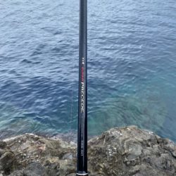 グレ狙いのはずが！？