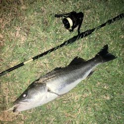 ががっときました。