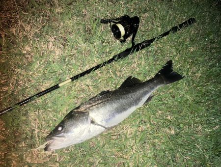 ががっときました。