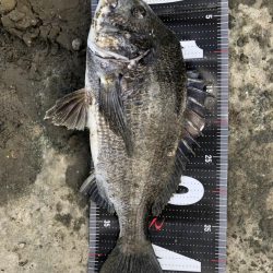 イチノ兄弟、釣果!