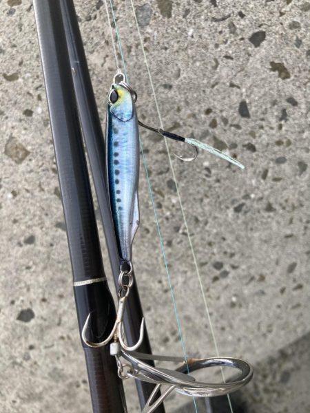 今期の太刀魚はデカい