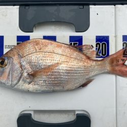 三邦丸さん早朝便で五目