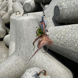 タコリベンジ戦