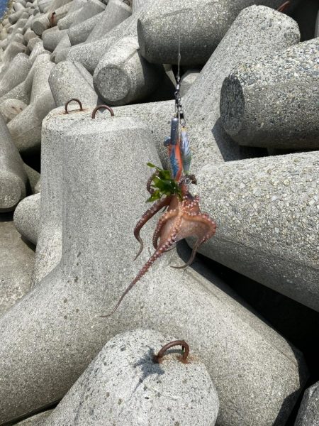 タコリベンジ戦