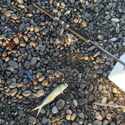 煙樹ヶ浜のショアジギ