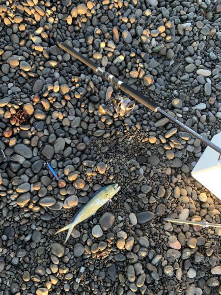 煙樹ヶ浜のショアジギ