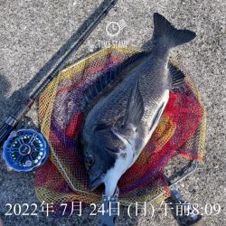 尼P オーランド大会