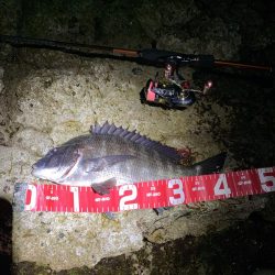 尺メバルが化けた