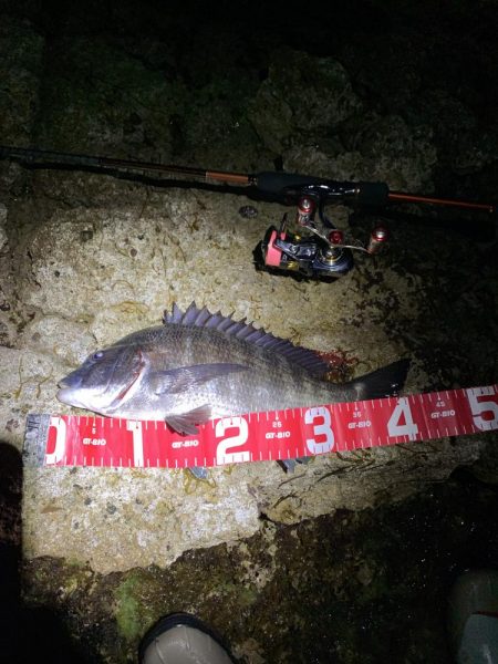 尺メバルが化けた