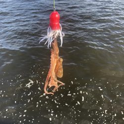 待望のキロアップ!