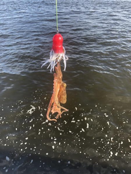 待望のキロアップ!